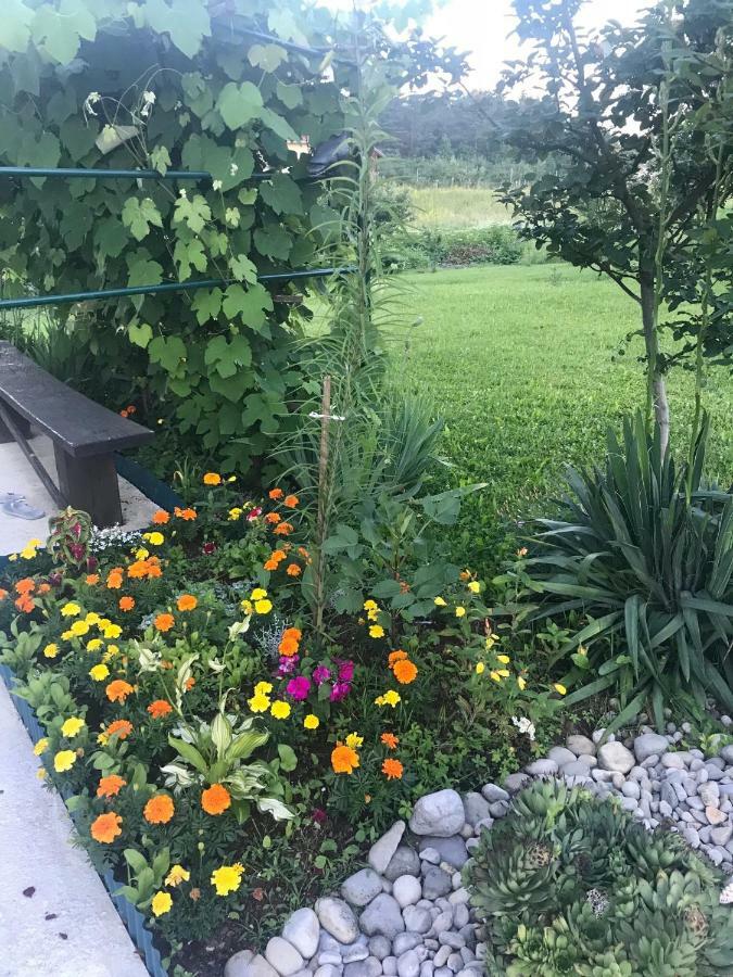 Guest House Klanfar Grabovac  Exterior photo